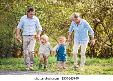 Senior grandparents with toddler grandchildren walking in nature in spring.