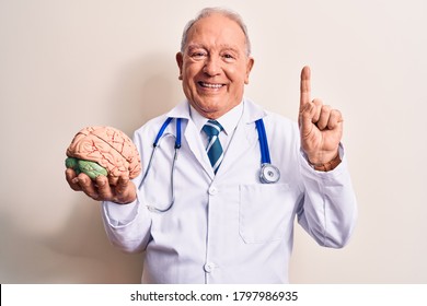 Senior grey-haired doctor man wearing stethoscope asking for care memory holding brain smiling with an idea or question pointing finger with happy face, number one