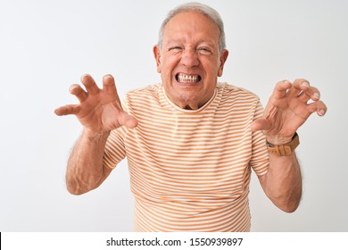 Senior grey-haired man wearing striped t-shirt standing over isolated white background smiling funny doing claw gesture as cat, aggressive and sexy expression