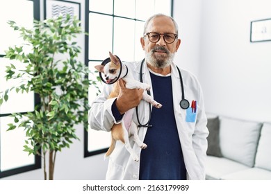 Senior grey-haired man wearing veterinarian uniform holding chihuahua with elizabethan collar at vet clinic