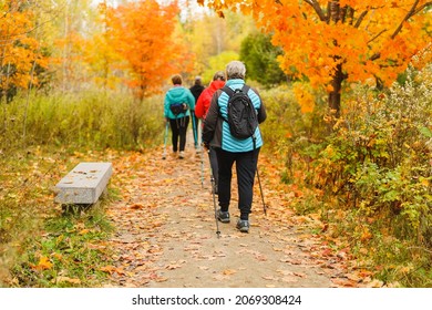 A Senior Group With Backpacks Walk In Forest