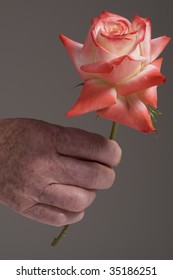 Senior Hand Holding Rose