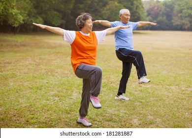 Senior Healthy Fitness Couple In The Park