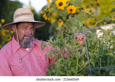 Senior Hispanic Male Gardener