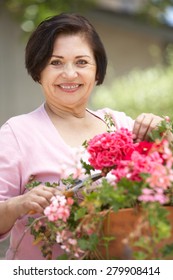 Senior Hispanic Woman Working In Garden Tidying Pots