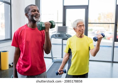 Senior Interracial Sportsmen Working Out With Dumbbells In Gym