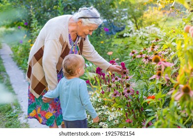 Senior Lady Playing With Little Boy In Blooming Garden. Grandmother With Grand Child  Looking And Admiring Flowers In Summer. Kids Gardening With Grandparent. Great-grandmother And Great-grandson.