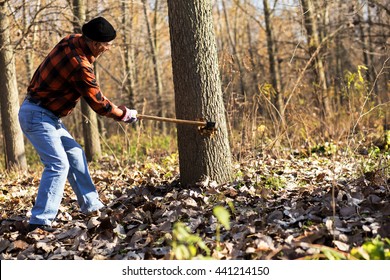 Senior lumberjack cutting tree with axe in the forest - Powered by Shutterstock