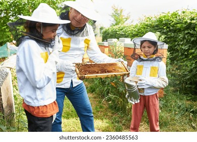 Senior male apiarist holding beeswax frame near girls with smoker emitting smoke in apiary garden - Powered by Shutterstock