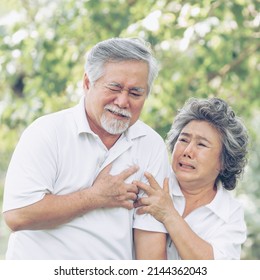 Senior Male Asian Suffering From Bad Pain In His Chest Heart Attack At Garden Park , Wife Supporting Husband - Elderly Couple Senior Heart Disease