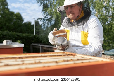 Senior male beekeeper holding smoker wearing protective suits working at apiary - Powered by Shutterstock