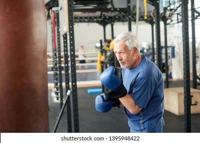 Senior male boxer ready to fight. Senior boxer in gloves boxing in gym. - Powered by Shutterstock