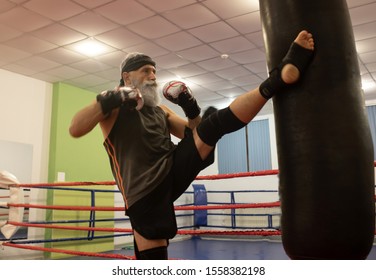 Senior Male Boxer Ready To Fight. Senior Boxer In Gloves Boxing In Gym