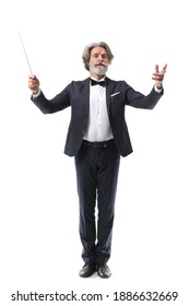 Senior male conductor on white background
