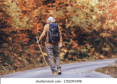 Senior Male Hiker Walking With Backpack In The Wood