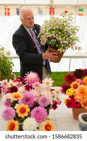 Senior Male Judging Fuschia Plant At Flower Show