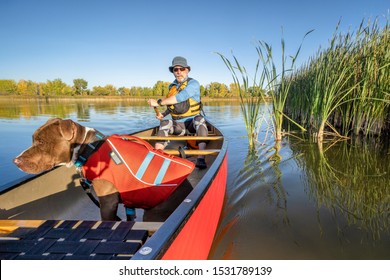 Senior Male Is Paddling Canoe With A Pit Bull  Dog In A Life Jacket, Calm Lake In Colorado In Fall Scenery