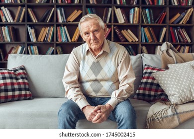 Senior Man Alone Sitting On Sofa At Library Looking Camera Serious Confident