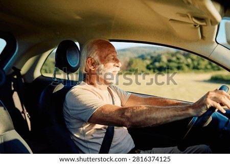 Senior man with a beard smiling while driving a car, enjoying freedom and an active lifestyle during a road trip