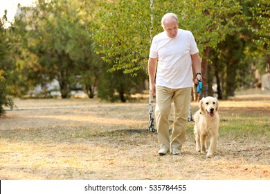 Old man walking dog Images, Stock Photos & Vectors | Shutterstock