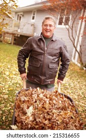 Senior Man Cleaning Up Fall Leaves