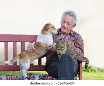 Senior Man With Dog And Cat On His Lap On Bench