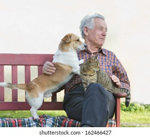 Senior Man With Dog And Cat On His Lap On Bench