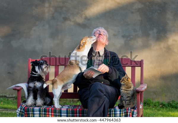 Senior man with\
dogs and cat on his lap on\
bench