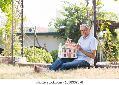 Senior Man Enjoy The Painting At Garden In The Backyard Of The House