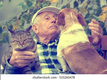 Senior Man Enjoying Tender Moments With His Cat And Dog, Cuddling Them In Courtyard