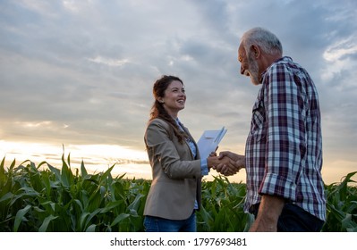 Senior man farmer shaking hands with young pretty woman with notebook in corn field. Insurance in agribusiness concept