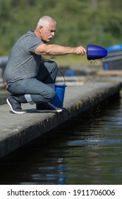 Senior Man Feeding Fish In Aqua Farm