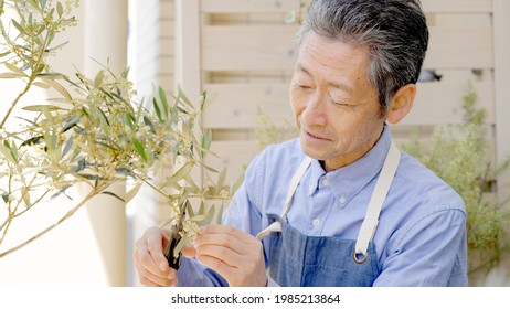 Senior man in the garden - Powered by Shutterstock