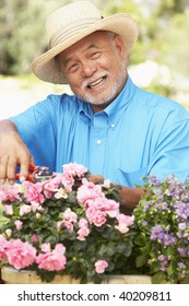 Senior Man Gardening