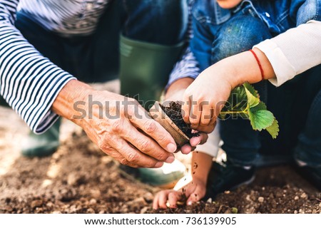 Similar – Alter Garten Frühling