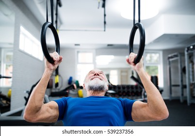 Senior Man In Gym Working Out On Gymnastic Rings