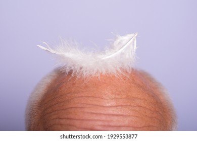 Senior Man Haircare. Closeup Old Bald Male. Hair Loss, Baldness, Health Problems, Aging