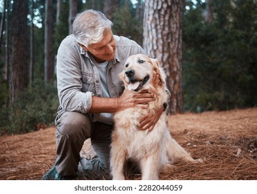 Senior man, hiking with dog in forest and adventure, fitness with travel and pet with love and care. Nature, trekking and vitality with mature male in retirement and golden retriever puppy outdoor - Powered by Shutterstock