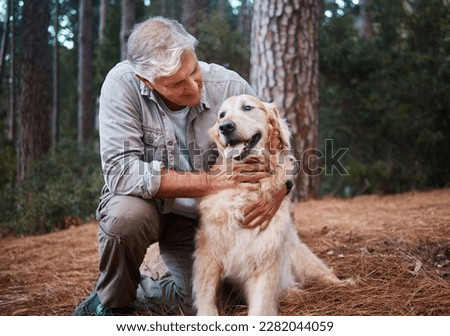 Senior man, hiking with dog in forest and adventure, fitness with travel and pet with love and care. Nature, trekking and vitality with mature male in retirement and golden retriever puppy outdoor