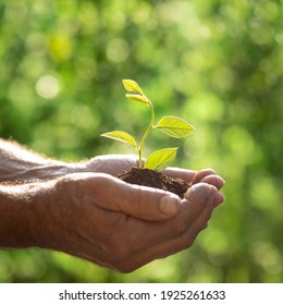 Environnement Nature Images Stock Photos Vectors Shutterstock