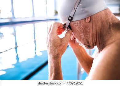 Senior Man In An Indoor Swimming Pool.