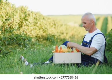 Senior Man Lifting Box Full Of Seasonal Vegetables