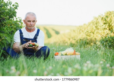 Senior Man Lifting Box Full Of Seasonal Vegetables