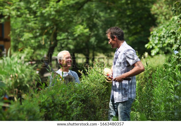 Senior\
man and mature men chatting over plants in\
garden