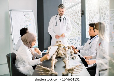 Senior man medical teacher teaching anatomy to university students or young doctors, African and Asian men, Caucasian and Muslim girl, sitting at the table, working with human skeleton model.