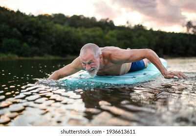 Senior Man On Paddleboard On Lake In Summer, Swimming.