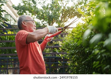 Senior man in orange shirt trimming bushes with hedge clippers in his garden, wearing glasses and gloves, focused on gardening, bright outdoor setting. - Powered by Shutterstock