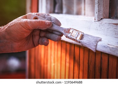 Senior Man Painting Wooden Windows Using Paintbrush. Repairing Exterior Of Old House. Close-up View On Old Hand Holding Paintbrush. 