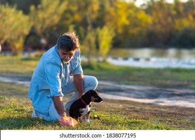 Senior Man Picking Up Dog Poop From The Lawn At The Public Park. Pet Owner Picks Up Dog's Poop Cleaning Up Mess. Man Cleaning Up Dog Droppings