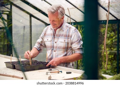 Senior Man Planting And Labelling Seeds In Trays In Greenhouse - Powered by Shutterstock